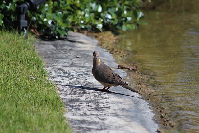 健康的维持